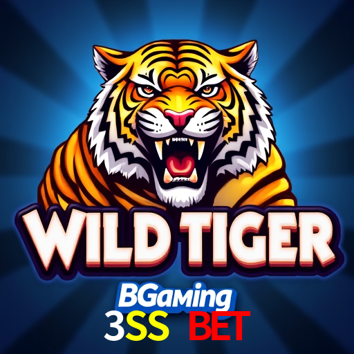 Bonus Features 3SS Bet